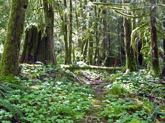 Trail-Condition-Franklin-to-Darlington