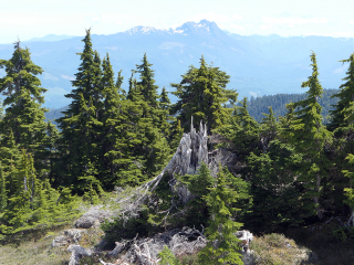 View-to-Arrowsmith