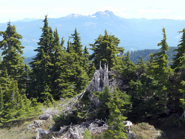 View-to-Arrowsmith