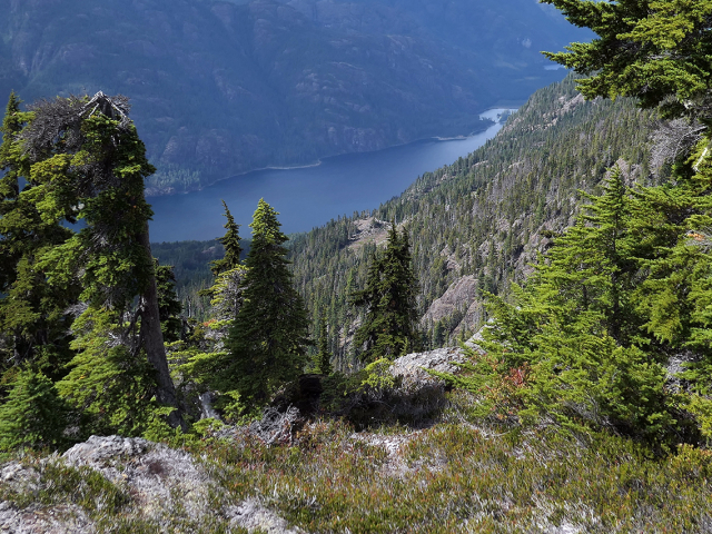 Buttle-view-to-Hawkins