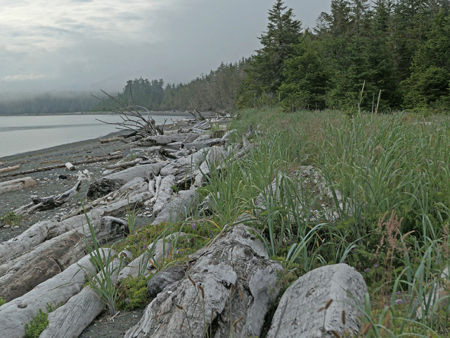 Cluxewe-Beach-S