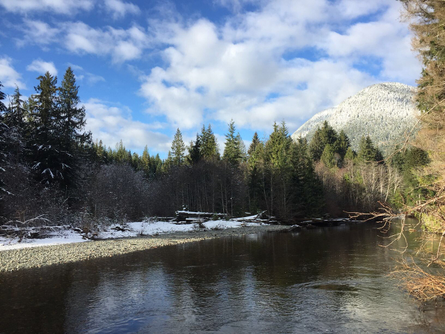 Davie-River-at-mid-Davie-2