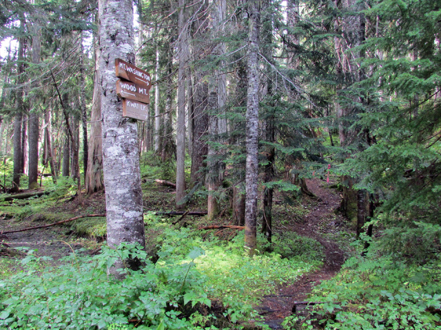 Forbidden-Crossing-Trail-just-W-of-McKenzie-Meadows
