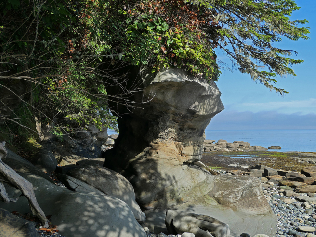 Suquash-sea-stack