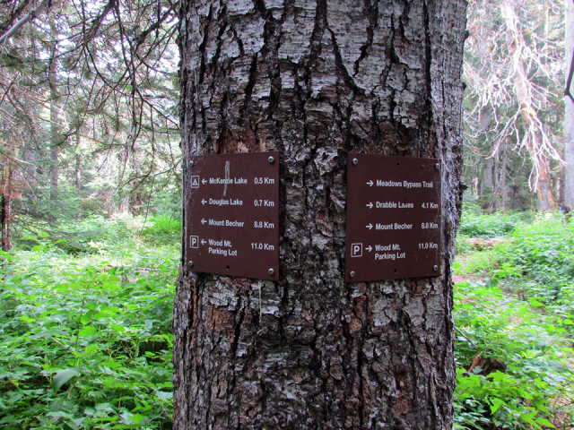 Trail-jct-W-end-McKenzie-Meadow-2