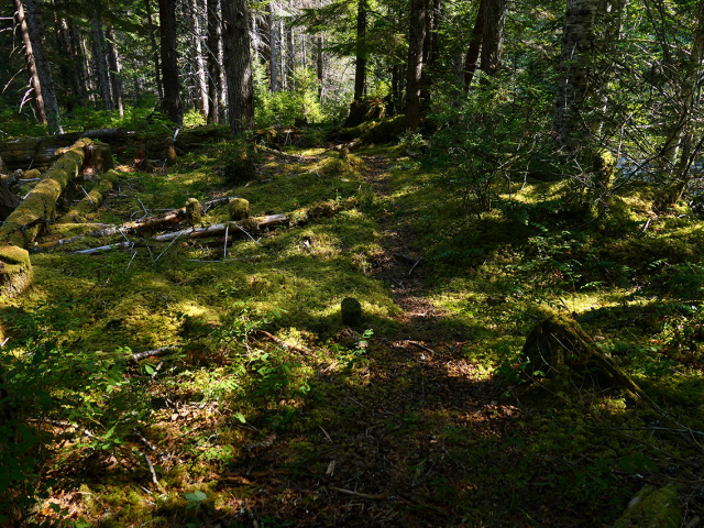 near-South-Fork-Mn-after