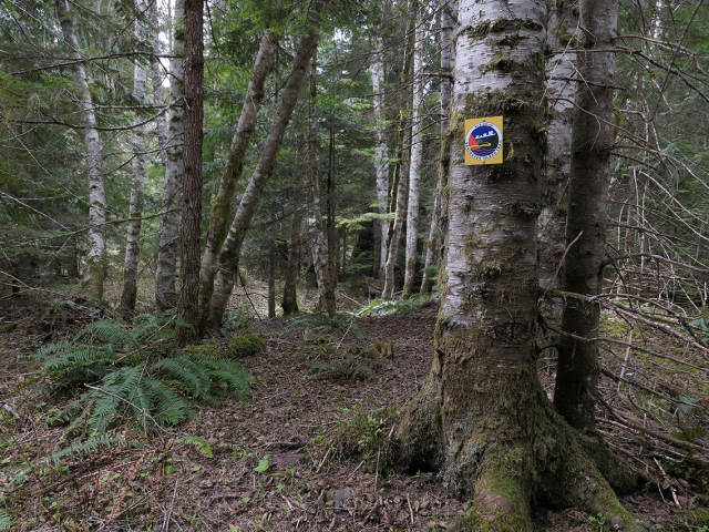trail-sign