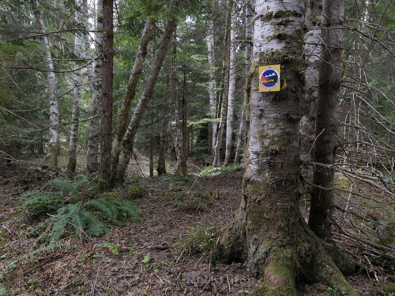 Sections overview vancouver island trail